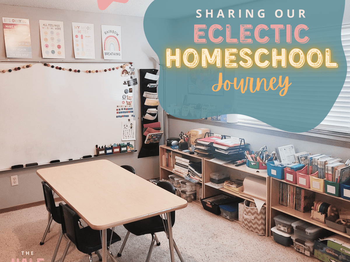 Sharing Our Eclectic Homeschool&nbsp;Journey